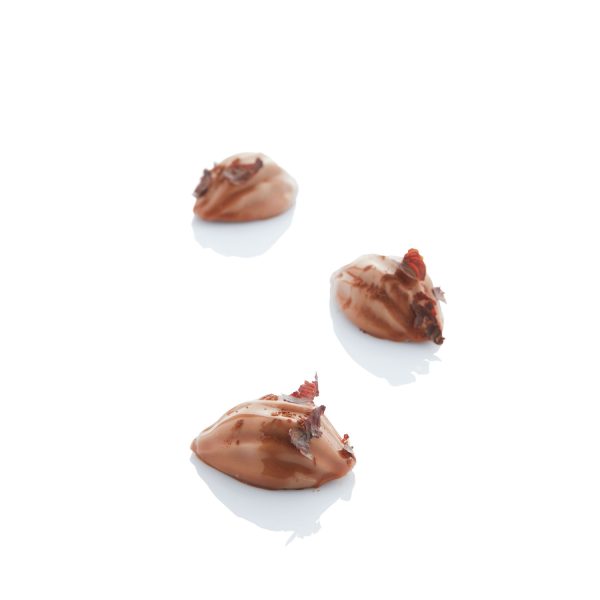 666fe248e39ee120b18c6e56 Mini Cocoa