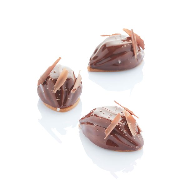 66728e57e39ee1752486f12d Cocoa